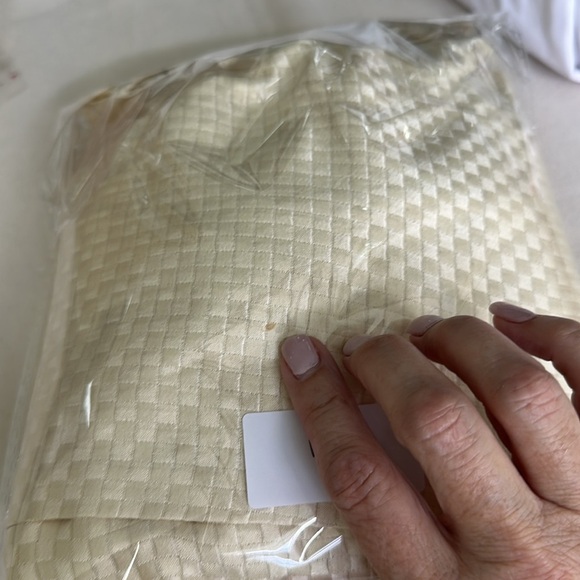 BCBG MaxAzria Fairycore Romantic Dress Size 2 Cream Sleeveless Backless - Picture 13 of 13